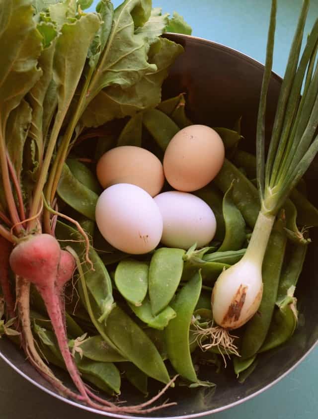 hobby farm garden harvest