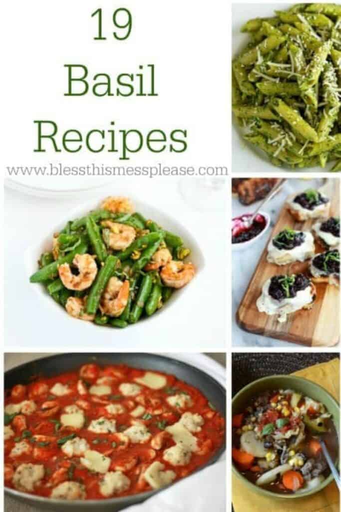 Title Image for 19 Basil Recipes with images of five basil recipes