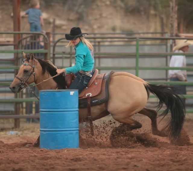 county fair 14