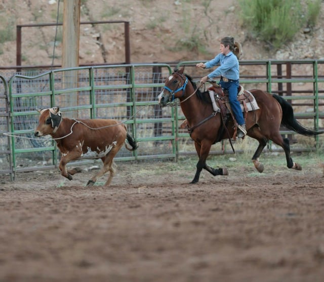 county fair 18