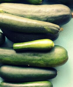 Ingredient Spotlight: Summer Squashes (or skwarsh if you are my grandma)