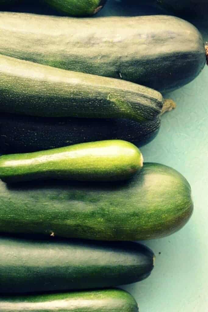 zucchini squash fresh