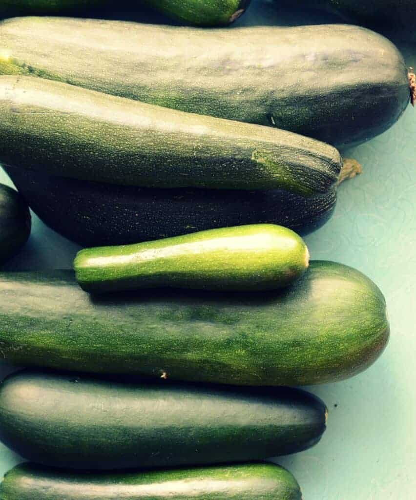 zucchini