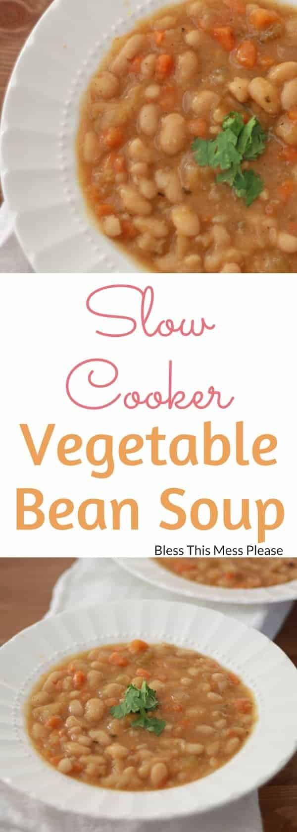 Slow Cooker Vegetable Bean Soup