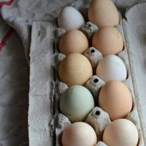 How to Test the Freshness of an Egg