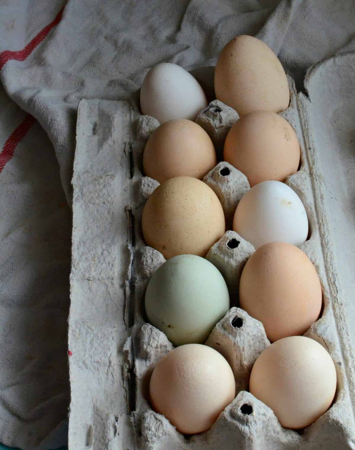 How to Tell If a Chicken Egg Is Rotten: A Simple Guide - My Favorite Chicken