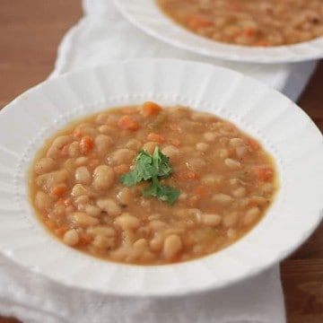 Slow Cooker Vegetable Bean Soup