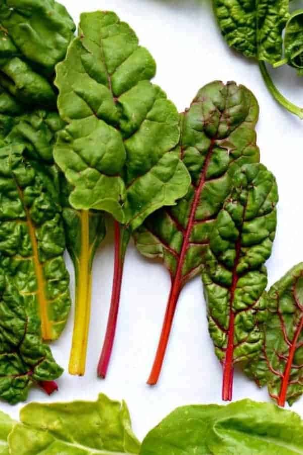 Leaves of fresh rainbow chard