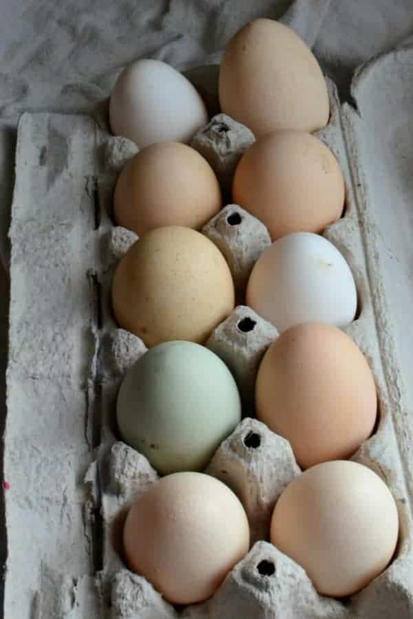 A variety of different colored chicken eggs in an egg carton.