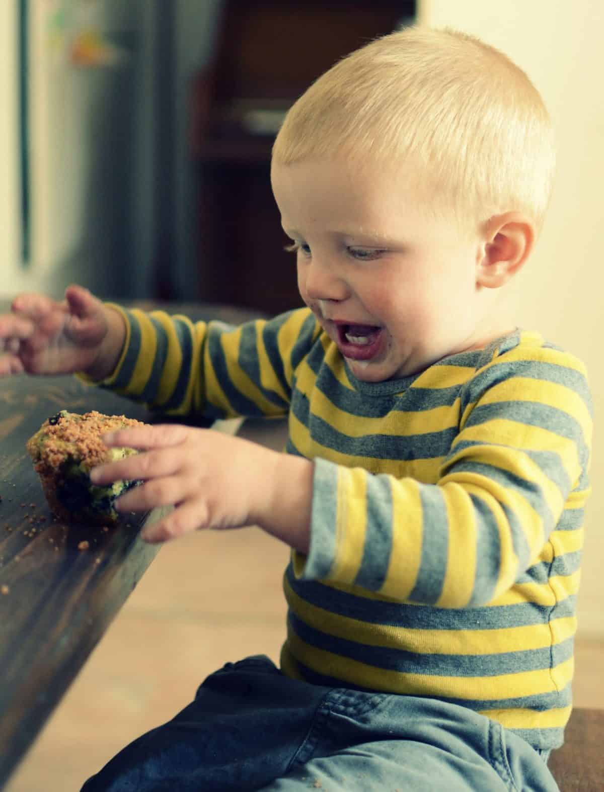 Perfect Blueberry Muffins with Crumb Topping