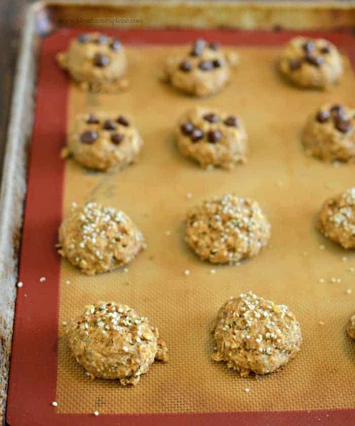Healthy Breakfast Cookies protein and fiber packed but only 65 calories!