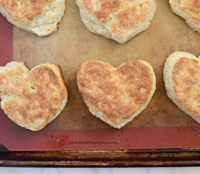 The Best Biscuit Recipe Ever, Really