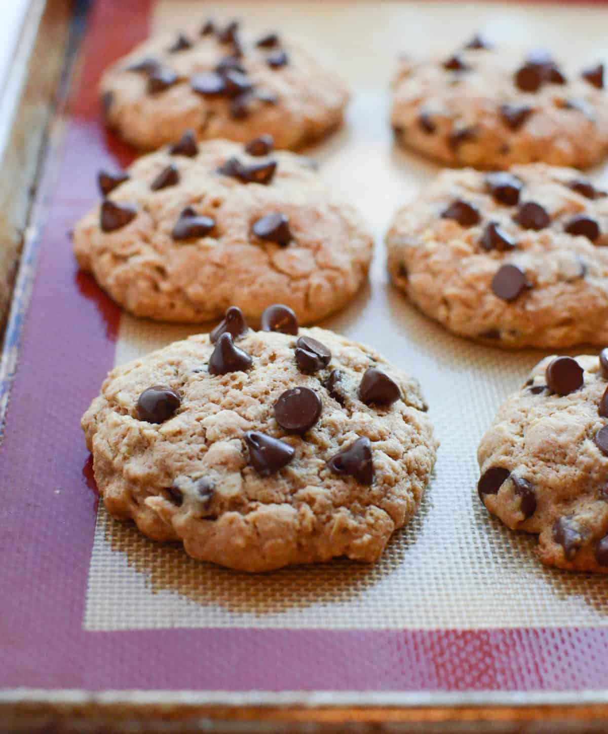 Oatmeal Chocolate Chip Cookies with honey and whole wheat flour my favorite healthy dessert recipe