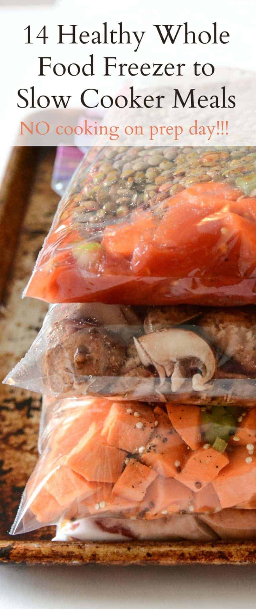 14 Healthy Freezer to Slow Cooker Recipes | Bless this Mess