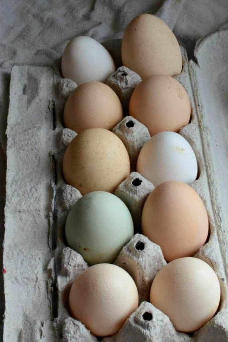 Top view of a dozen eggs of varying colors in a cardboard carton