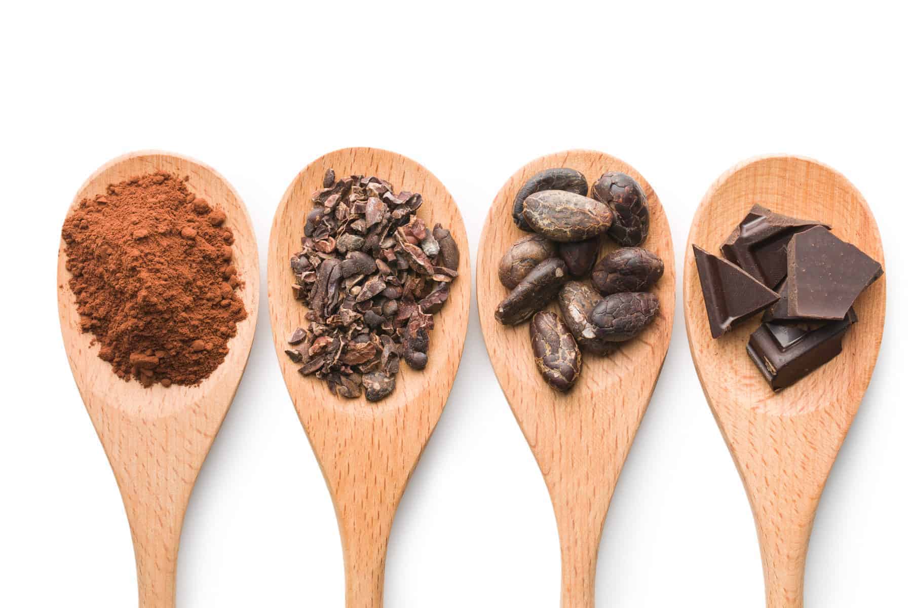 cocoa powder, cacao nibs, cacao beans, and solid chocolate each on wooden spoons in a row