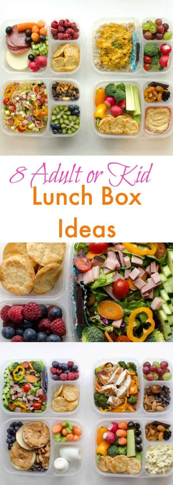 8 Adult Lunch Box Ideas  Healthy Meal Prep Recipes for Work Lunches