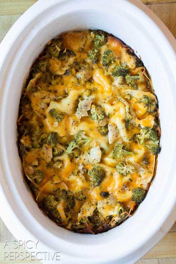 Chicken Broccoli Slow Cooker Lasagna
