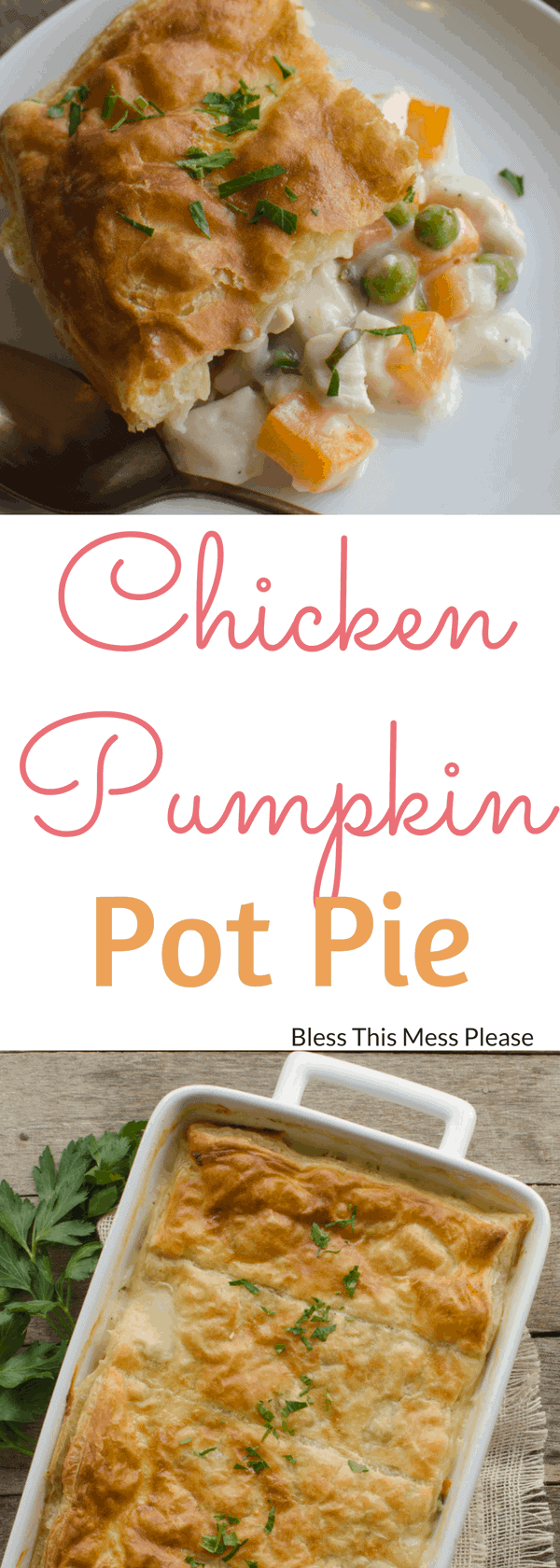 Chicken Pumpkin Pot Pie