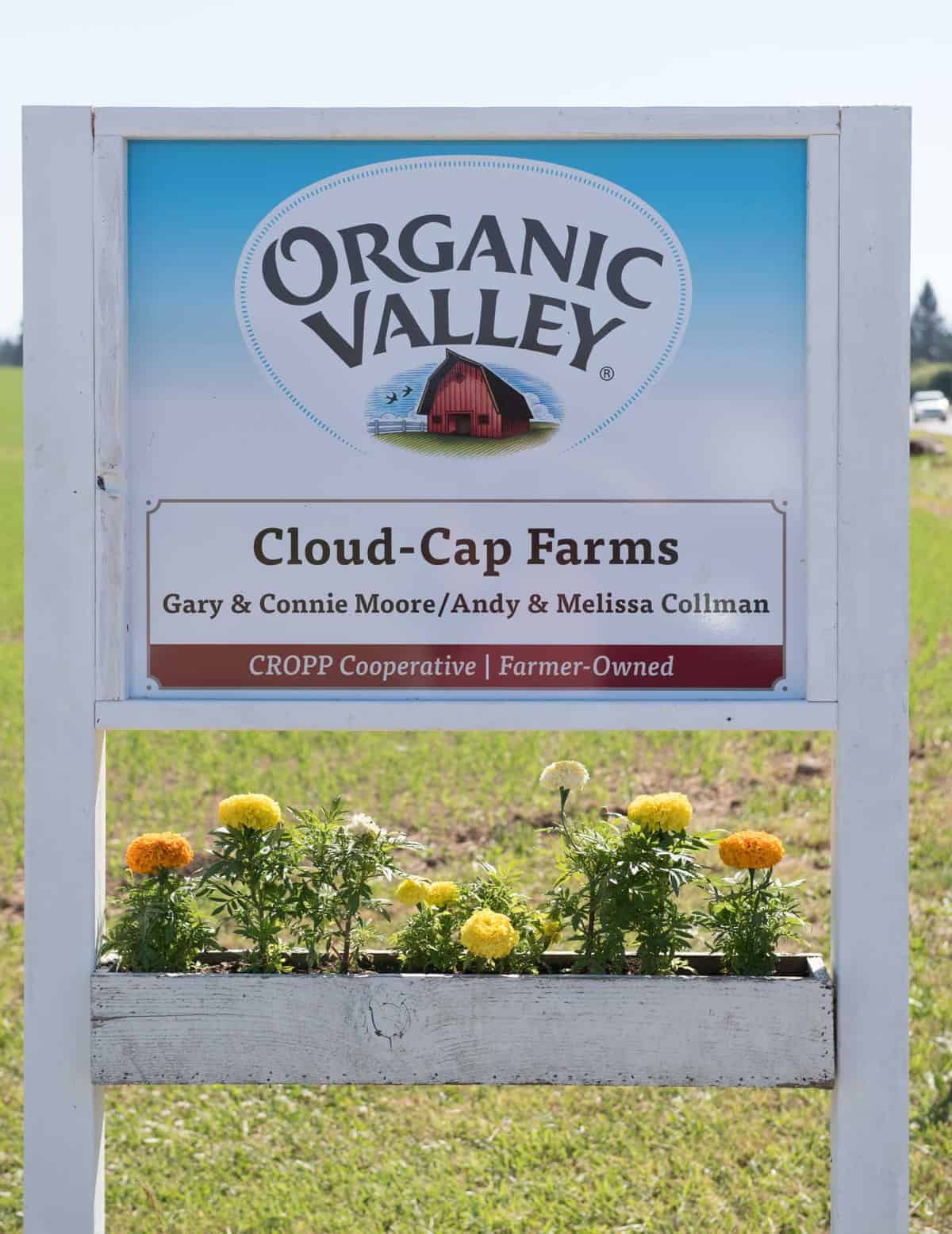 Organic dairy farm tour!