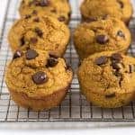 Pumpkin Blender Muffins Image