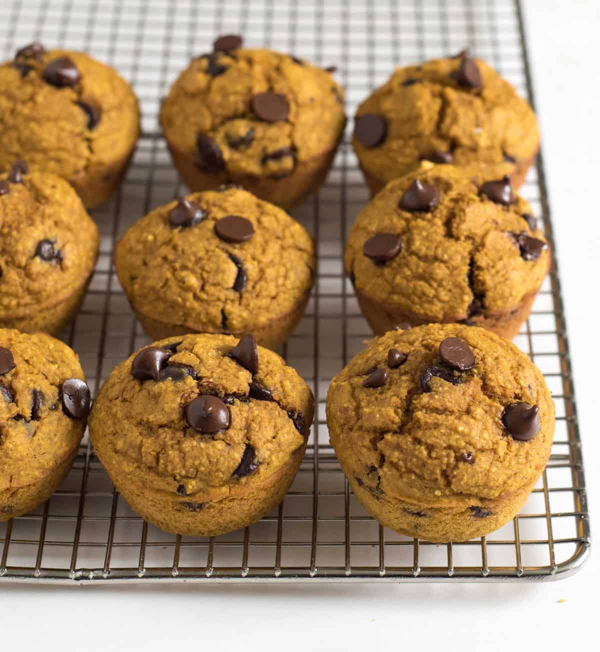 Healthy Pumpkin Blender Muffins are made by placing wholesome ingredients in a blender and processing until smooth. Simply blend, bake, and enjoy!