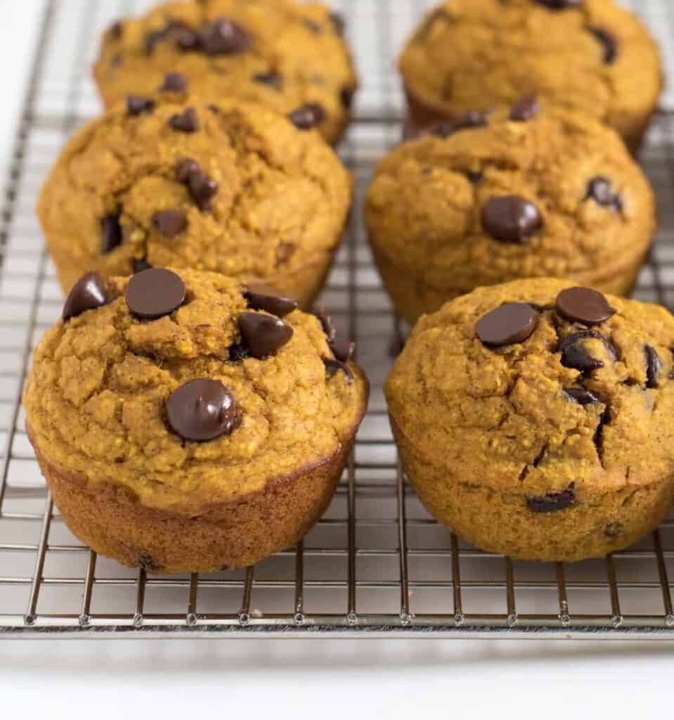 Pumpkin Blender Muffins Image