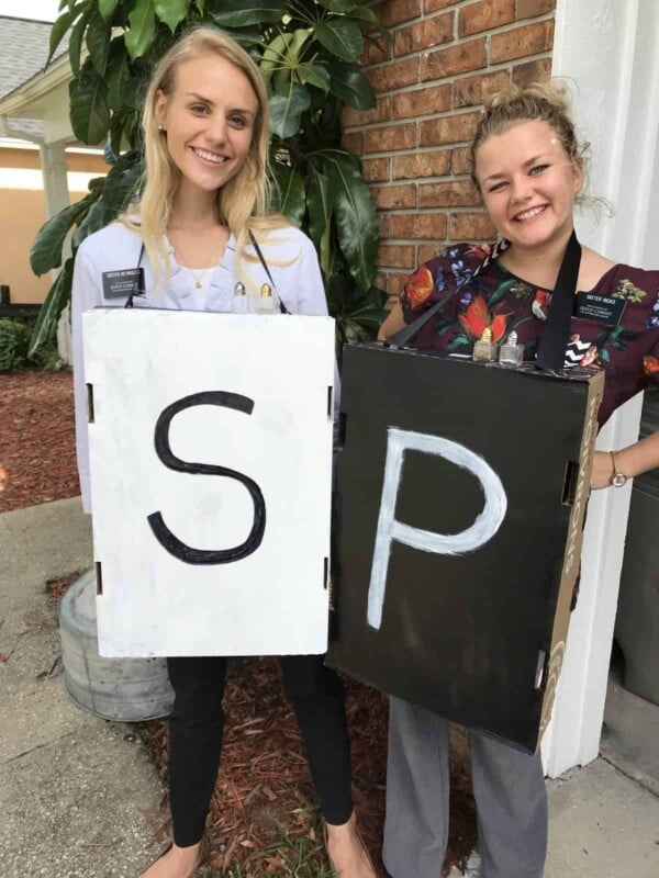 Photo of salt and pepper costumes