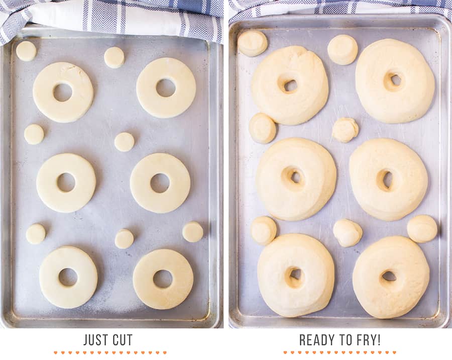 Side-by-side of freshly cut donuts and donuts ready to fry