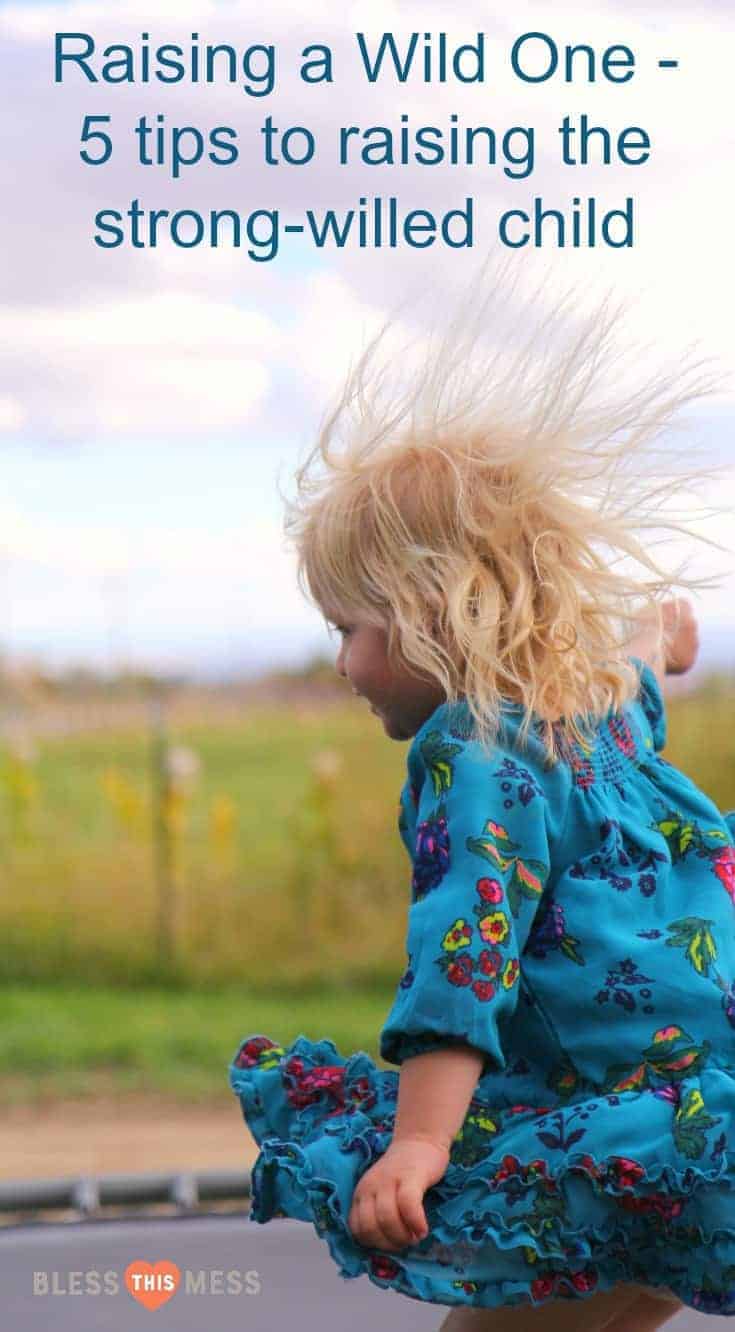 Raising a wild one - 5 tips to raising the strong willed child