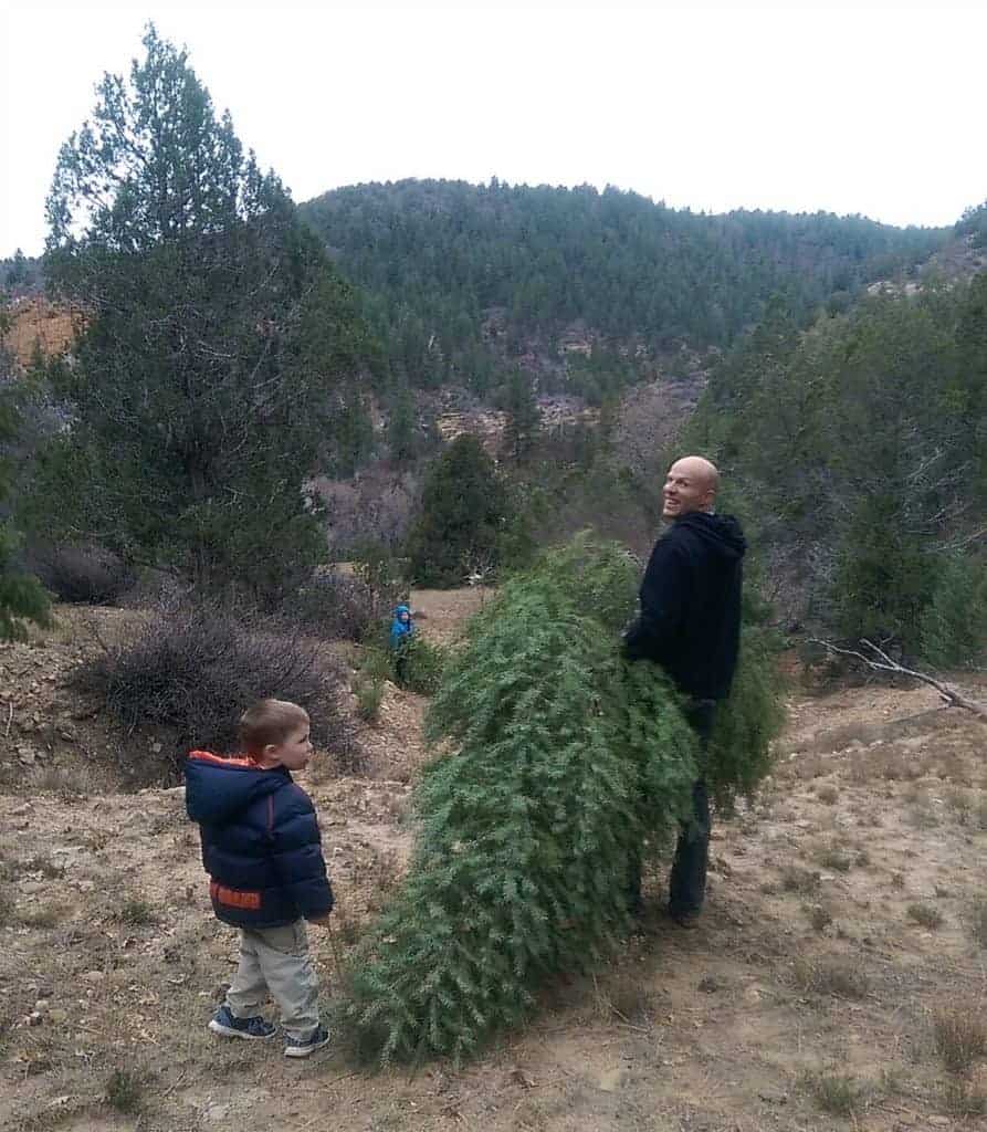 a man carrying a fresh christmas tree and kids playing nearby