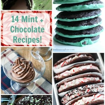 The BEST Chocolate Mint Recipes