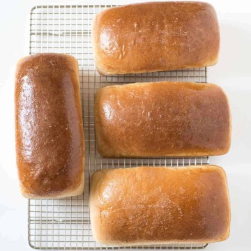 Mom's 4 Loaf Wheat Bread Recipe