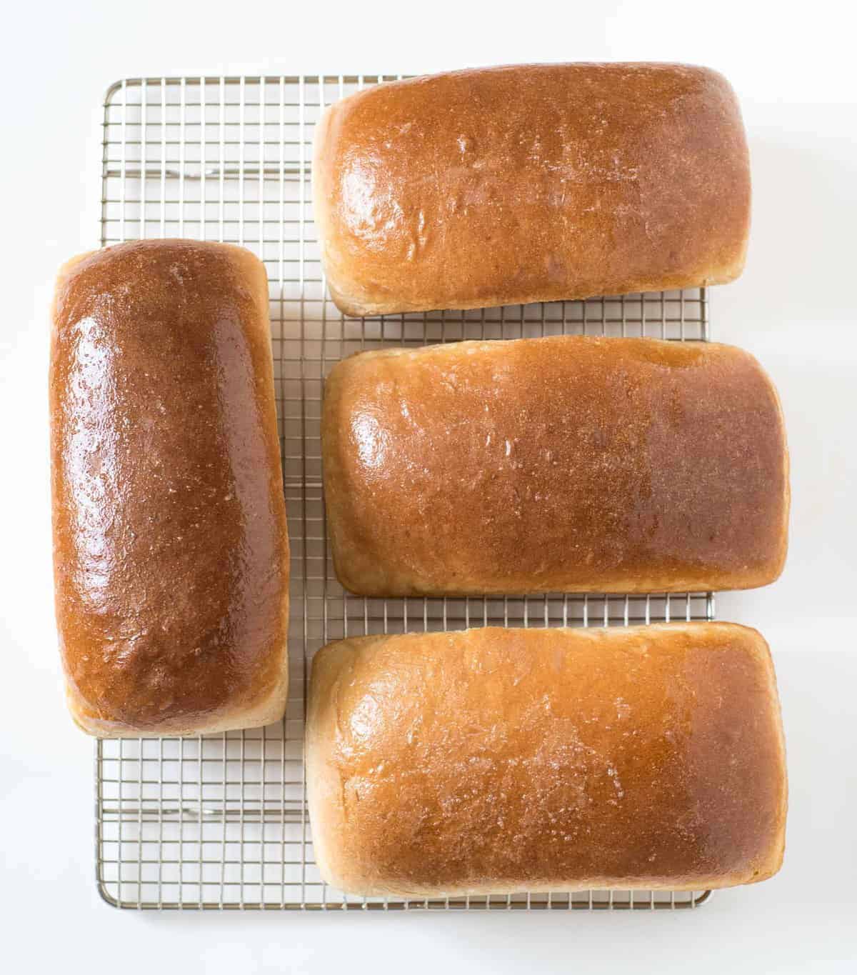 Easy Whole Wheat Bread  Minimalist Baker Recipes