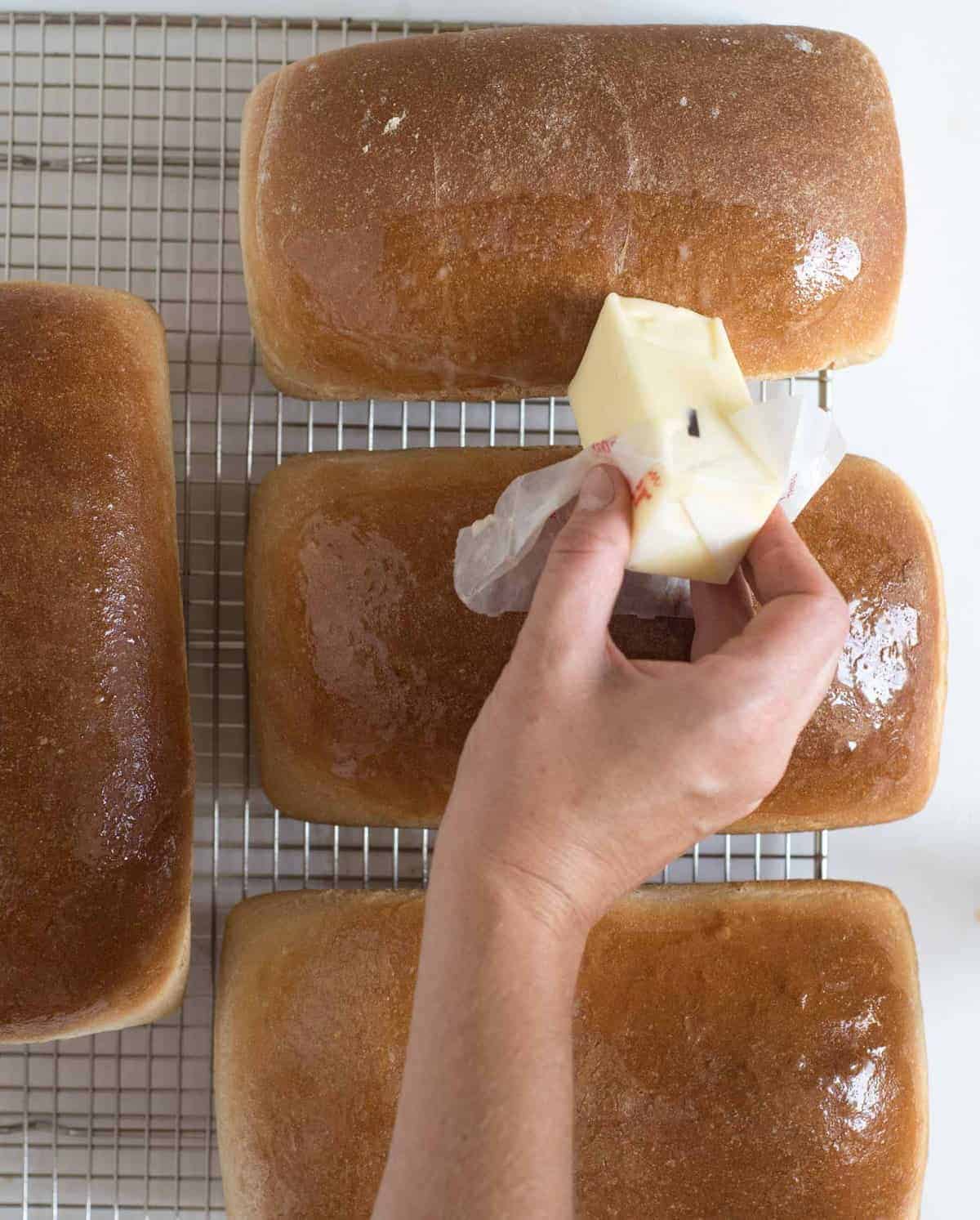 Simple and fool-proof wheat bread recipe that makes four loaves of bread in one batch. This recipe comes from my mom and it's a keeper.