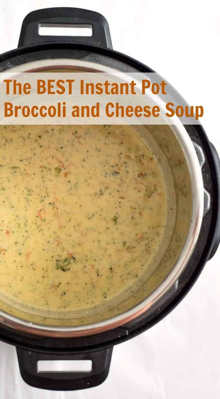 The Best Instant Pot Broccoli and Cheese Soup Easy Soup Recipe