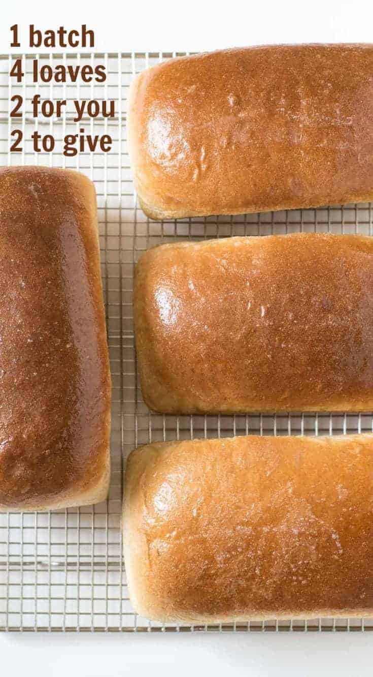 Simple and fool-proof wheat bread recipe that makes four loaves of bread in one batch. This recipe comes from my mom and it's a keeper. 