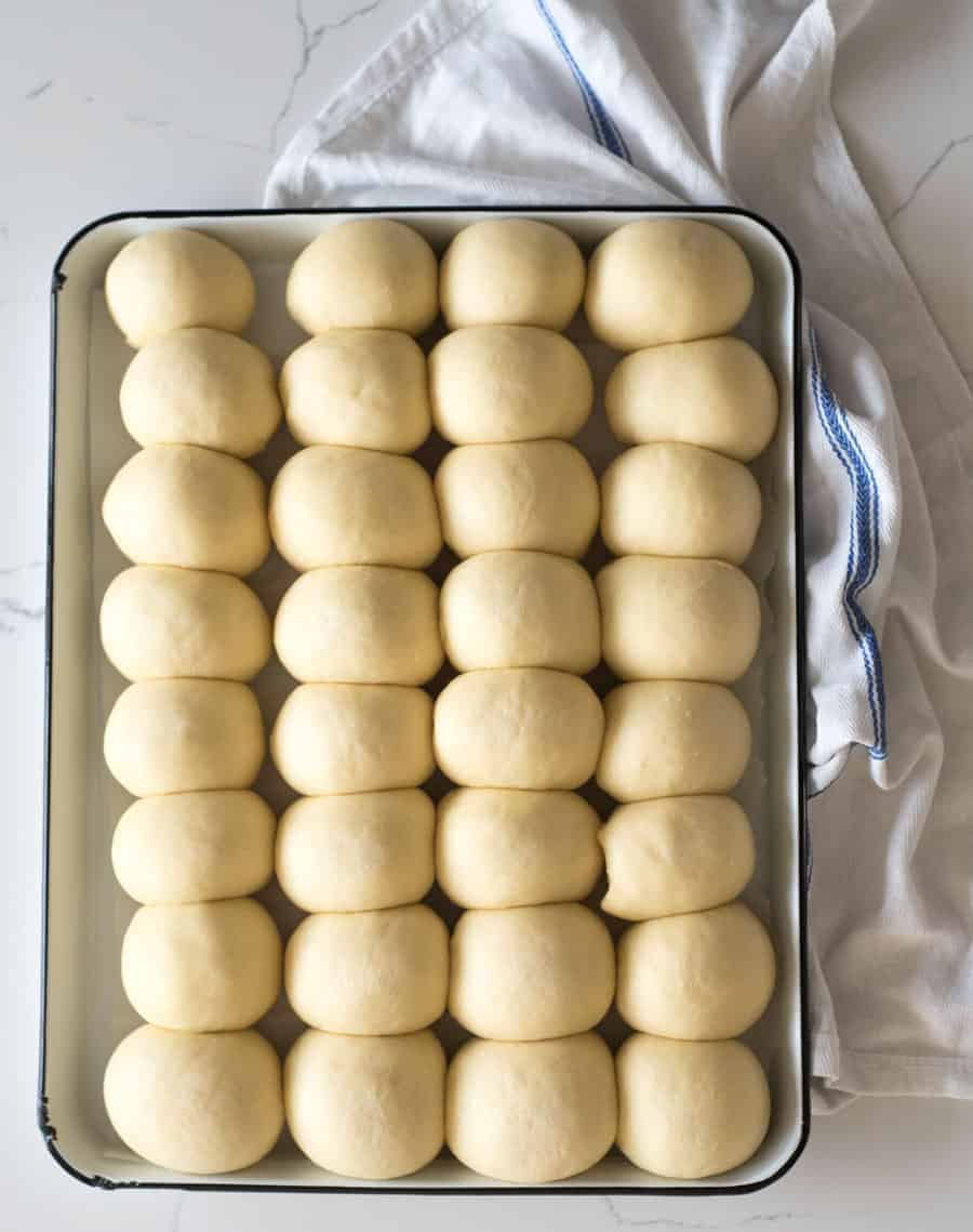 dinner rolls rising in a pan before they go into the oven