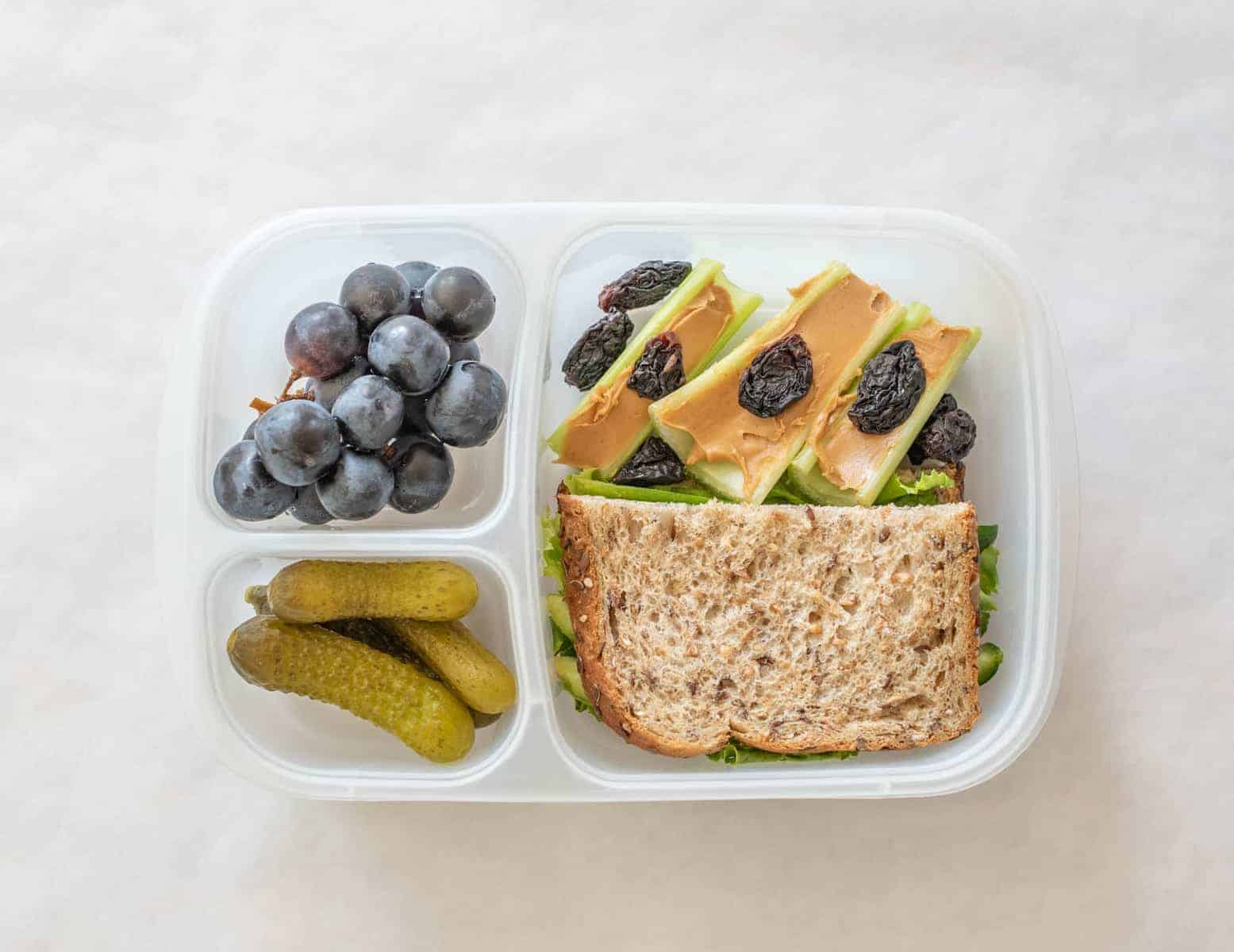 Quick and easy school and adult lunch box ideas made with Sabra Hummus, fruit, vegetables, and more. 