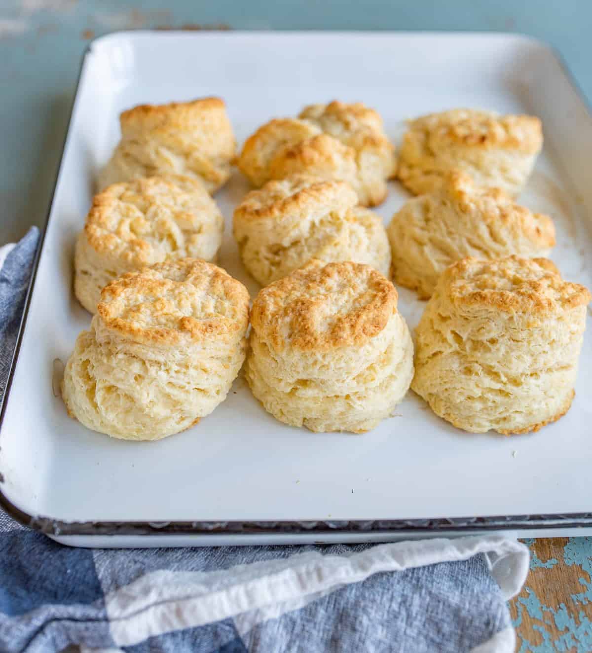 biscuits on a white baking sheet all lined up, fresh out of the oven.