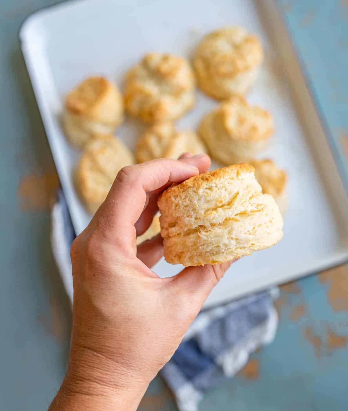 Hand holding a buttermilk biscuit.