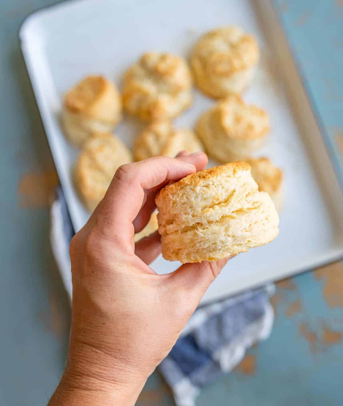 hand hold a biscuit so that you can see the layers in the side of the biscuit