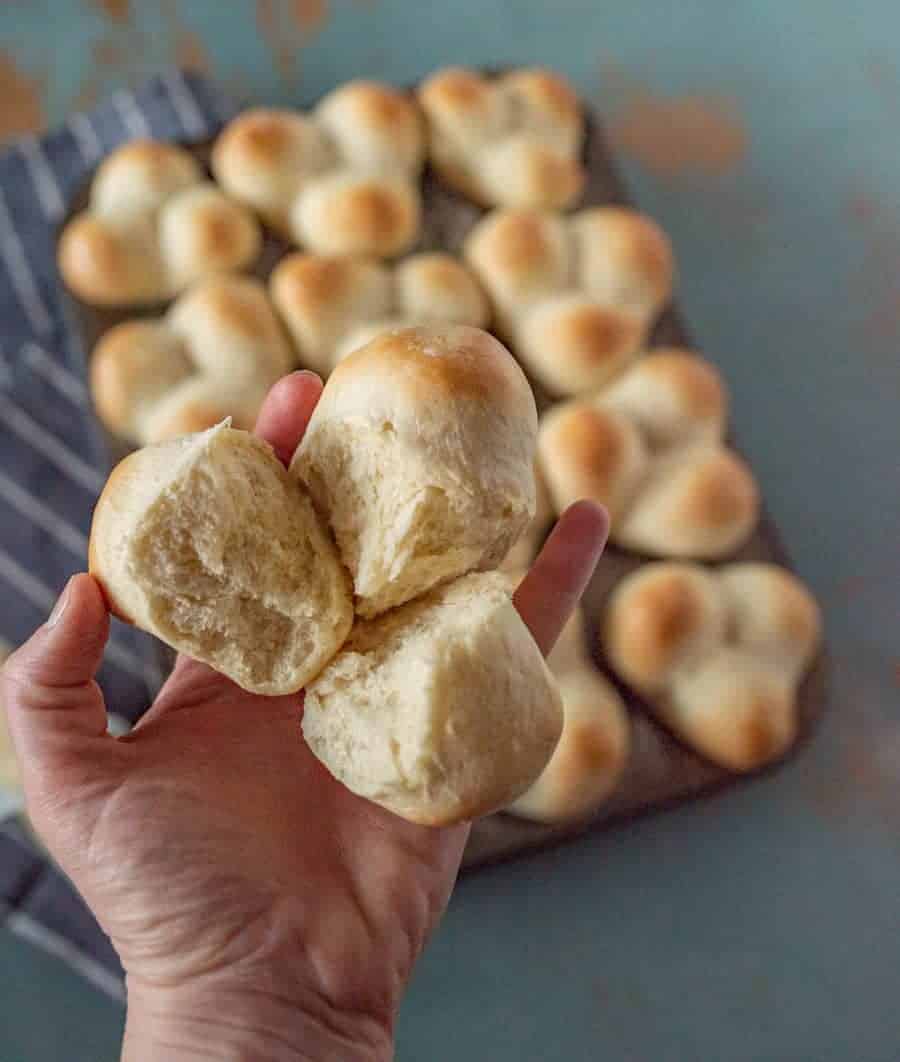 hand holding Grandma Lucy's famous clover rolls in muffin pan on white striped blue towel next to stick of butter.