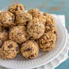 Extra Protein Oatmeal Bites pack a ton of nutrients, fiber, and protein for a well-balanced snack that tastes reminiscent of a healthy peanut butter cup.