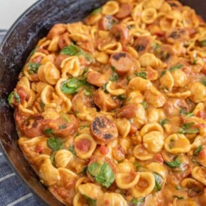 One pot cheesy sausage pasta is a decadent and rich one-pot meal, full of melty cheese and bites of summer sausage, and perfect for an easy meal at home when you don't want a lot of cleanup!