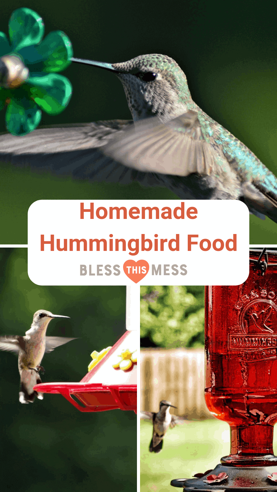 Homemade Hummingbird Food Recipe