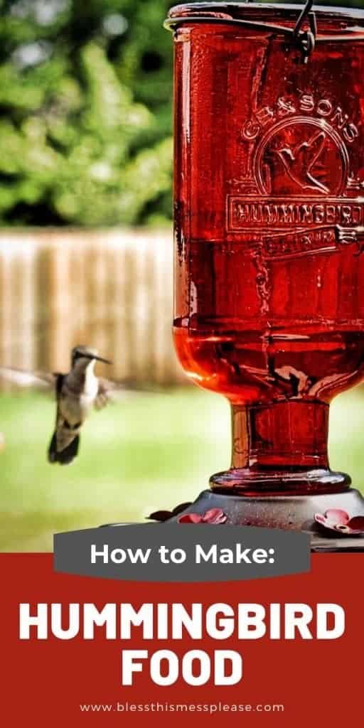 pin of humming bird food with text