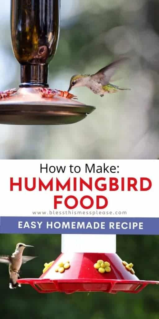 pin of humming bird food with text