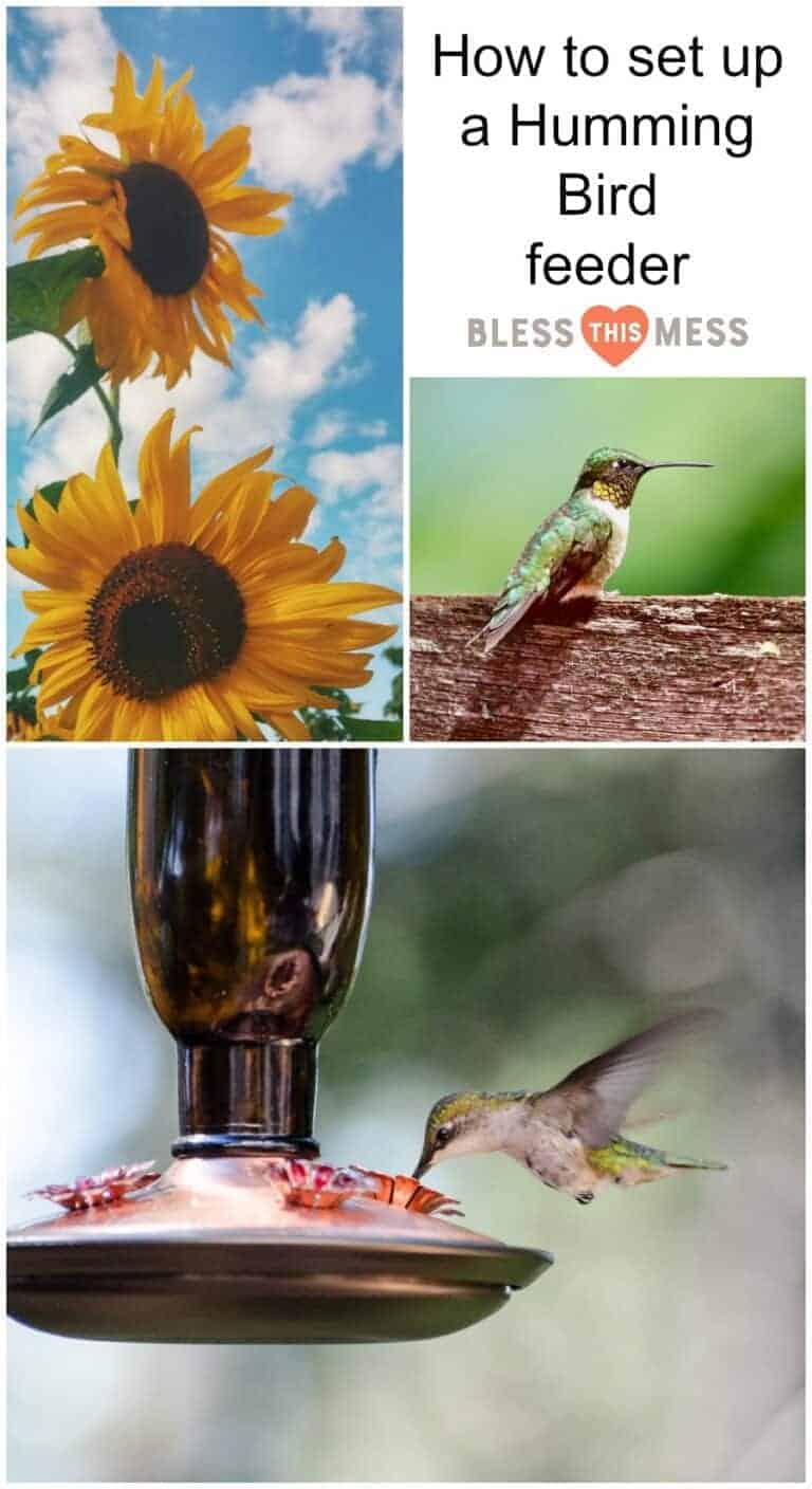 The Best Ways to Set Up a Hummingbird Feeder — Bless this Mess