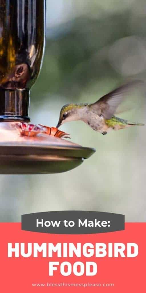 pin of humming bird food with text